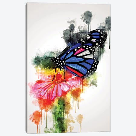 Butterfly On Flower Canvas Print #CVL122} by Cornel Vlad Canvas Artwork