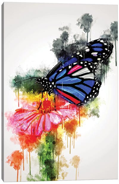 Butterfly On Flower Canvas Art Print