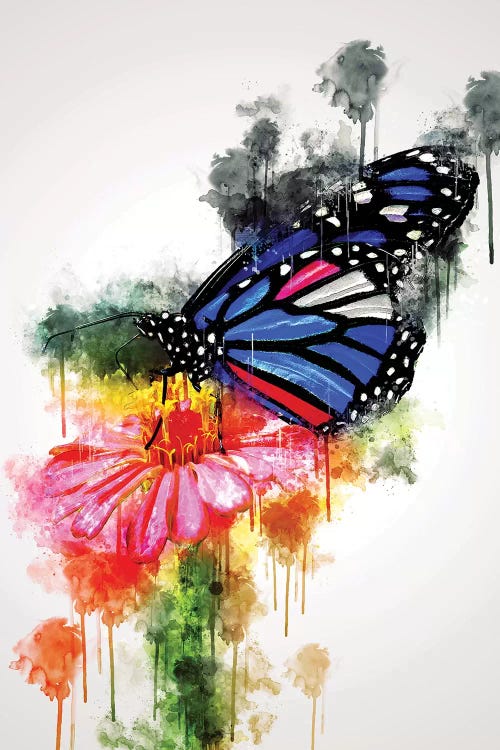 Butterfly On Flower
