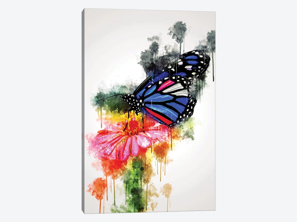 Butterfly On Flower by Cornel Vlad 1-piece Canvas Artwork