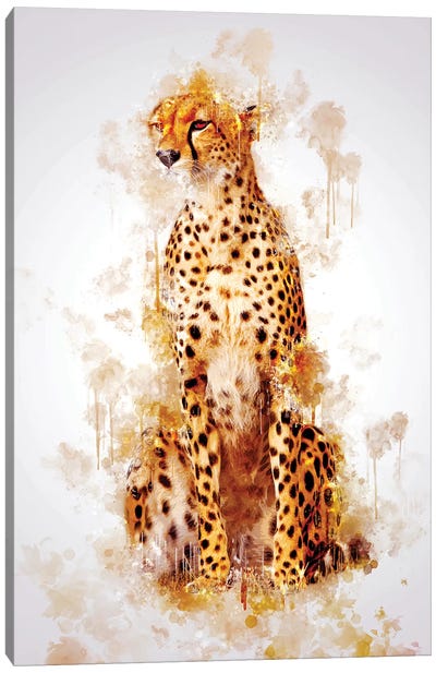 Cheetah Canvas Art Print - Cornel Vlad