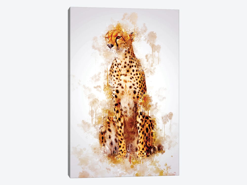 Cheetah by Cornel Vlad 1-piece Canvas Art Print