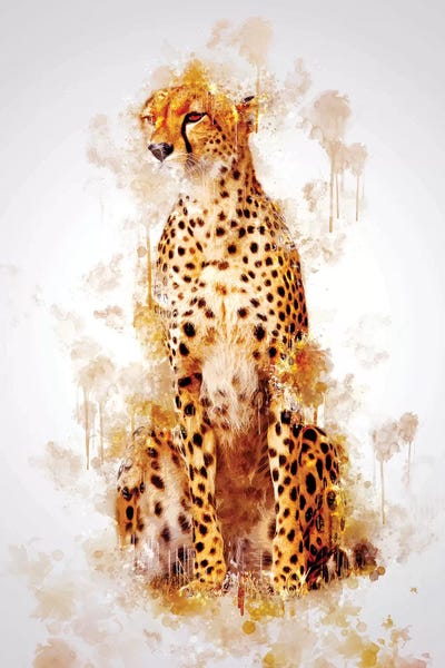 Cheetahs: Cheetah by Cornel Vlad