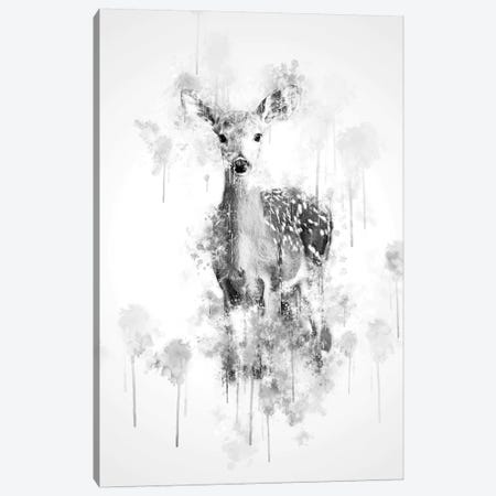 Deer In Black And White Canvas Print #CVL124} by Cornel Vlad Canvas Art Print