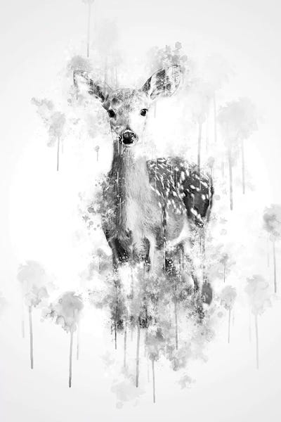 Deer: Deer In Black And White by Cornel Vlad