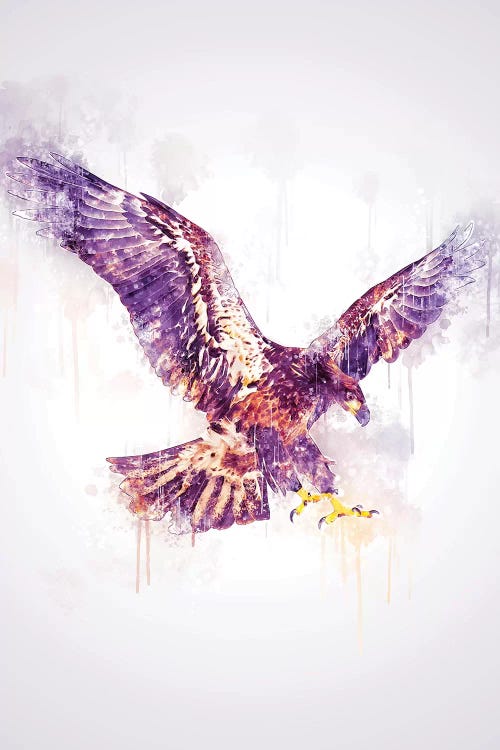 Eagle
