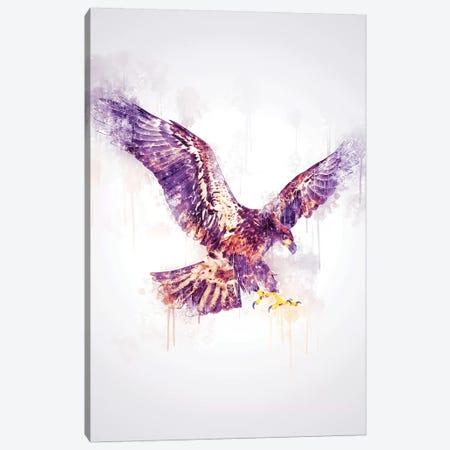 Eagle Canvas Print #CVL125} by Cornel Vlad Art Print