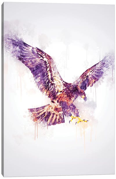 Eagle Canvas Art Print - Cornel Vlad