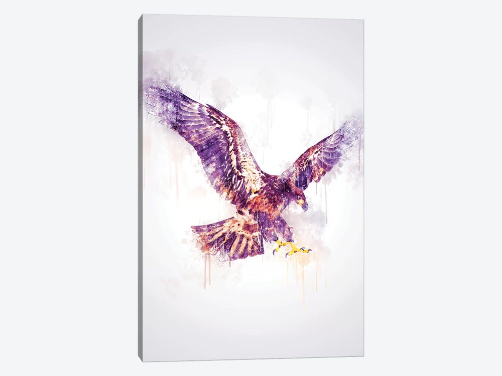 Eagle by Cornel Vlad 1-piece Canvas Art Print