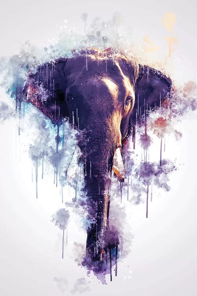 Elephant Head by Cornel Vlad framed wall art