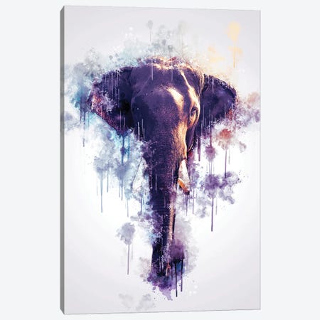 Elephant Head Canvas Print #CVL126} by Cornel Vlad Art Print