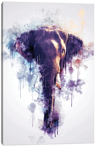 Elephant Head Canvas Art Print - Cornel Vlad