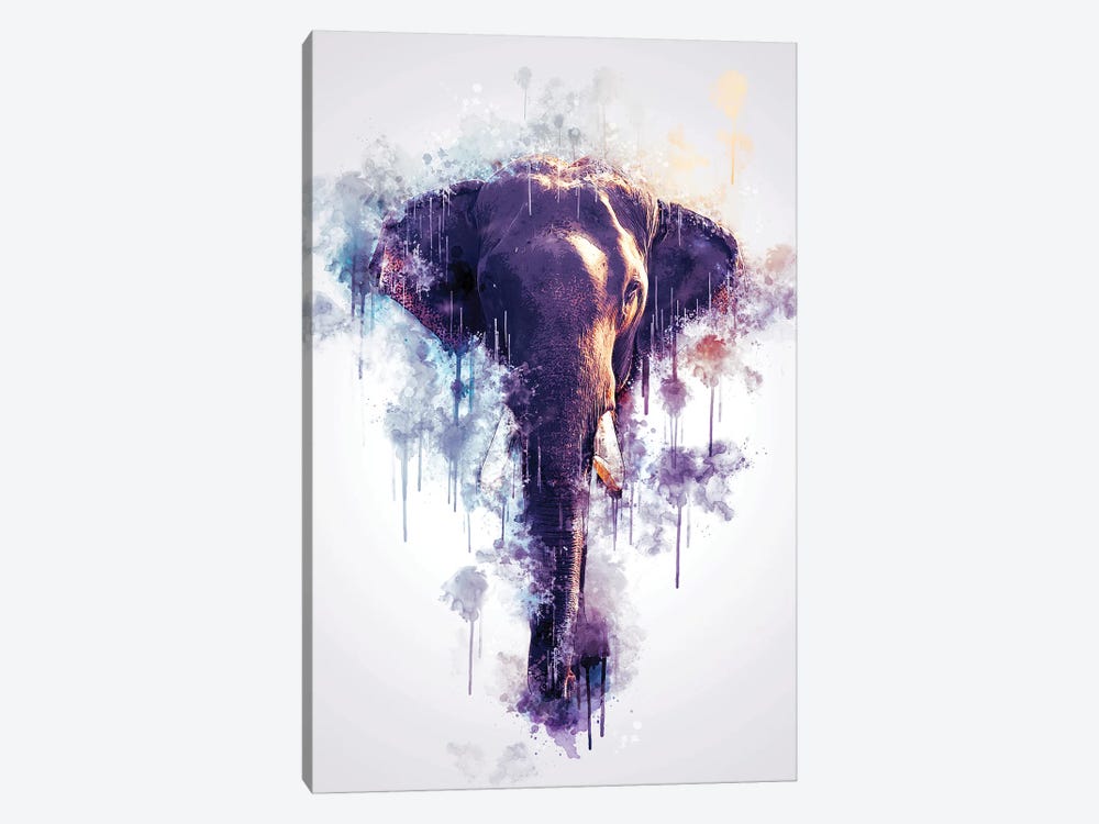 Elephant Head by Cornel Vlad 1-piece Canvas Artwork
