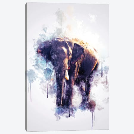Elephant Canvas Print #CVL127} by Cornel Vlad Art Print