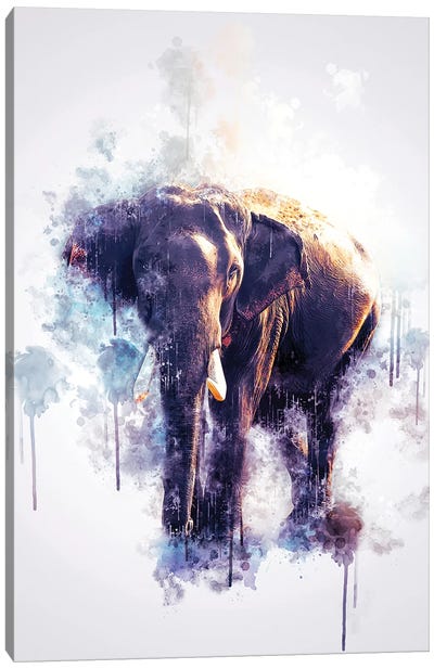 Elephant Canvas Art Print - Cornel Vlad