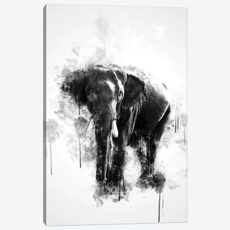 Elephant In Black And White Canvas Print #CVL128} by Cornel Vlad Canvas Art