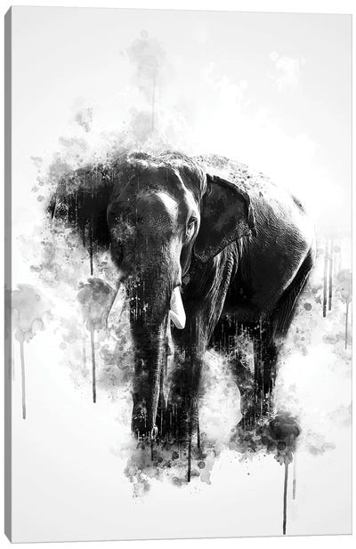 Elephant In Black And White Canvas Art Print - Cornel Vlad
