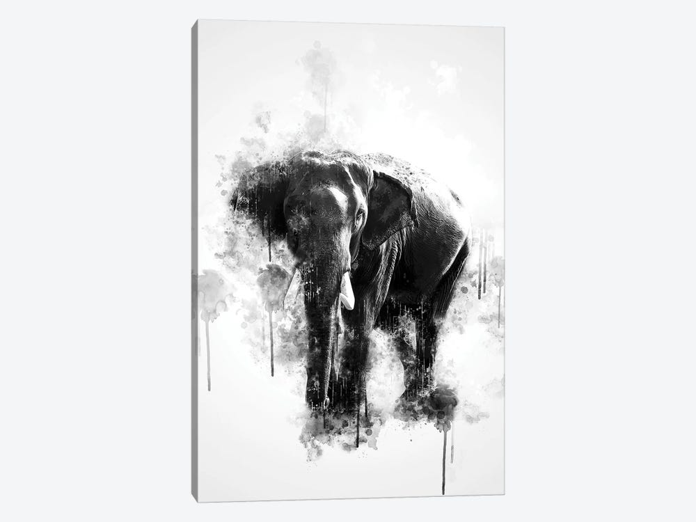 Elephant In Black And White by Cornel Vlad 1-piece Canvas Artwork