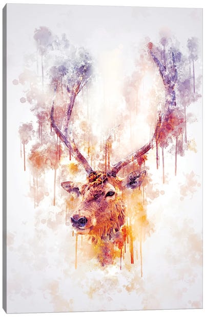 Elk Head Canvas Art Print - Cornel Vlad