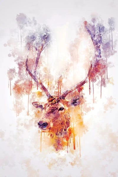 Elk Head