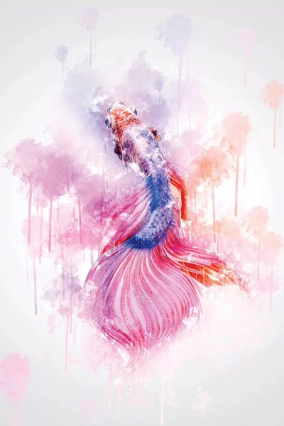 Colorful Fish by Cornel Vlad framed wall art