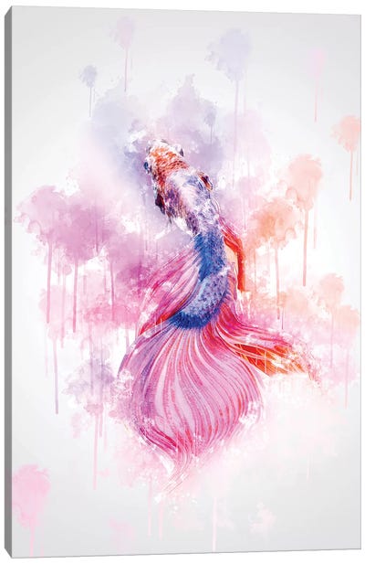 Colorful Fish Canvas Art Print - Cornel Vlad