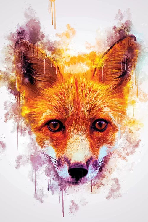 Fox Head