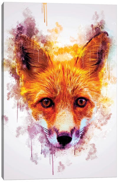 Fox Head Canvas Art Print - Cornel Vlad