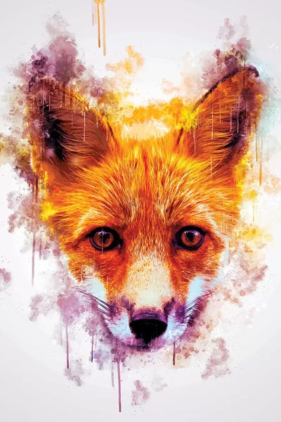 Foxes: Fox Head by Cornel Vlad