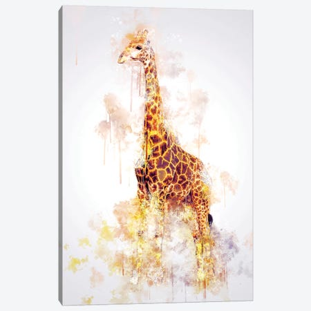 Giraffe Canvas Print #CVL132} by Cornel Vlad Canvas Print