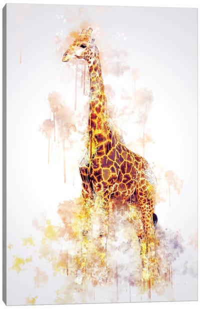 Giraffe Canvas Art Print - Cornel Vlad