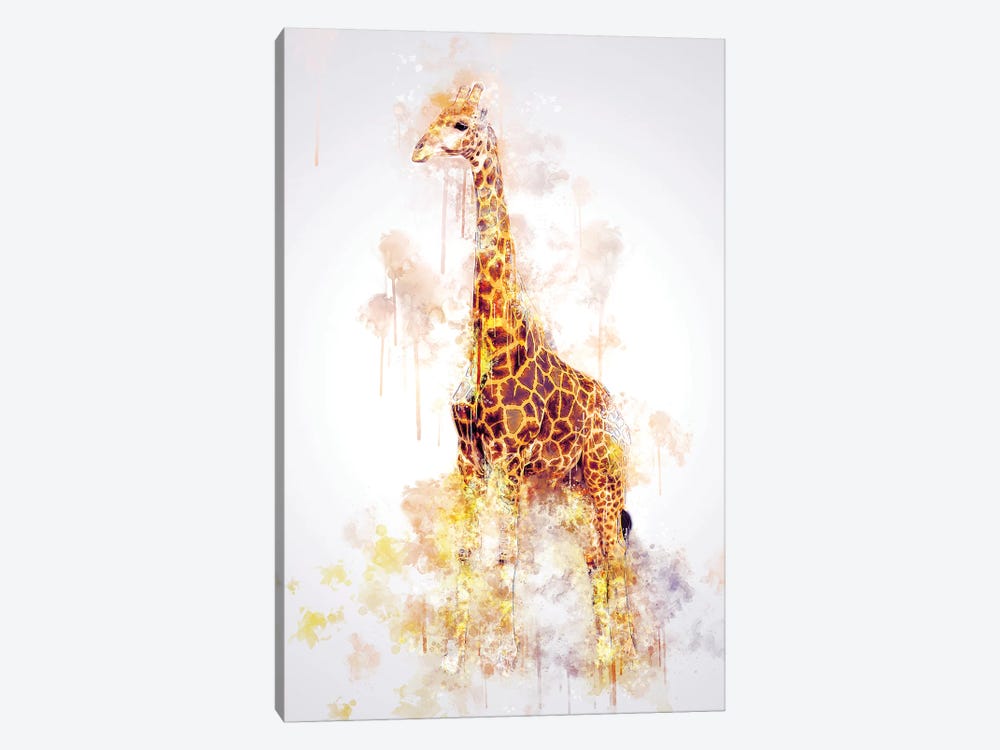 Giraffe by Cornel Vlad 1-piece Canvas Print