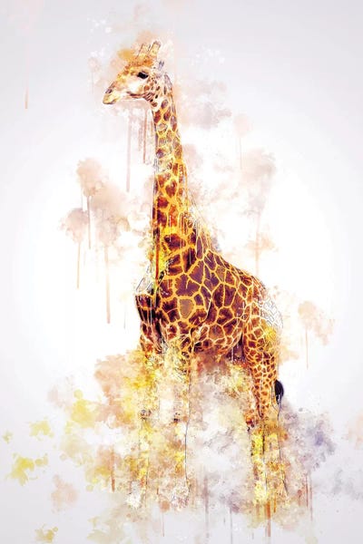 Giraffes: Giraffe by Cornel Vlad