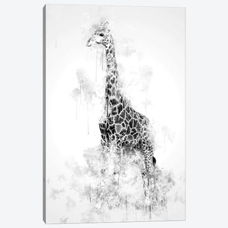 Giraffe In Black And White Canvas Print #CVL133} by Cornel Vlad Art Print