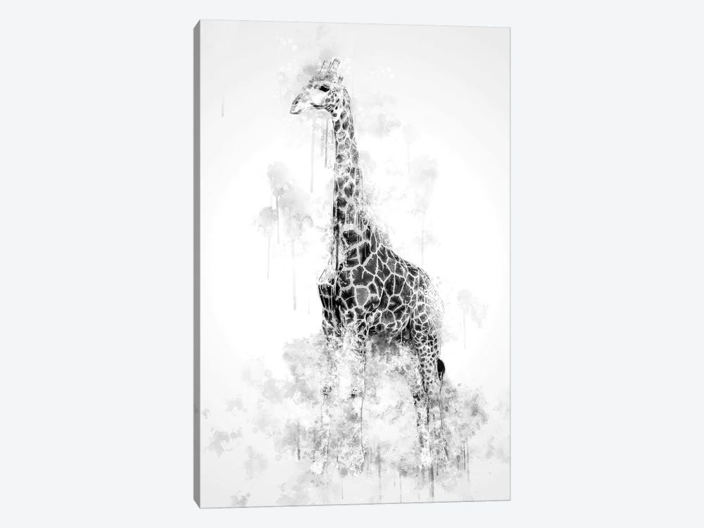 Giraffe In Black And White by Cornel Vlad 1-piece Canvas Art