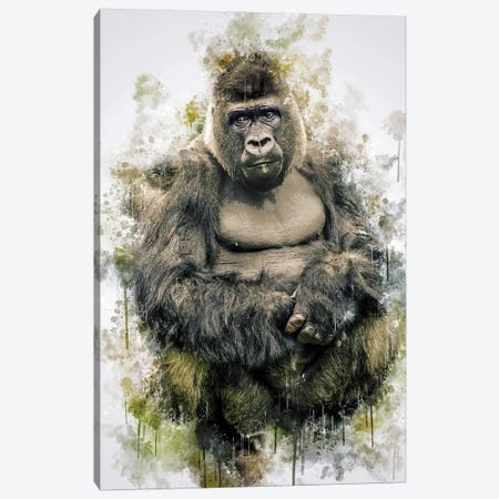 Gorilla Canvas Print #CVL134} by Cornel Vlad Canvas Wall Art
