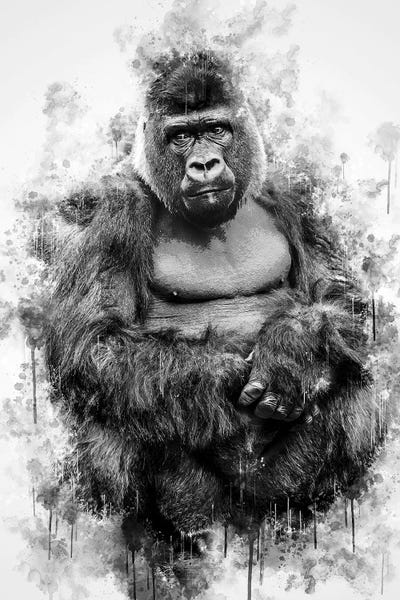 Gorilla In Black And White by Cornel Vlad art print