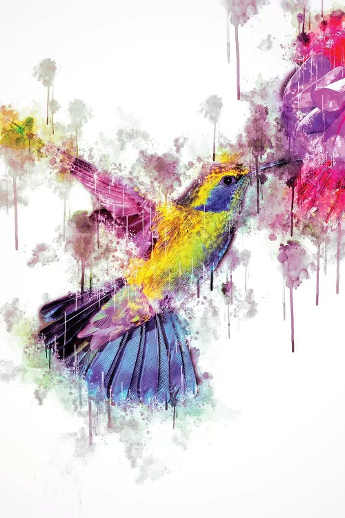Humingbird by Cornel Vlad wall art