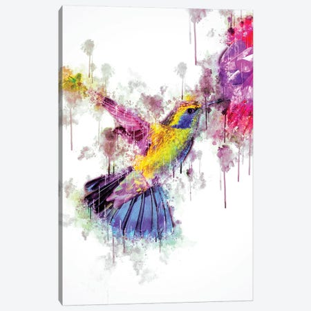 Humingbird Canvas Print #CVL136} by Cornel Vlad Canvas Artwork