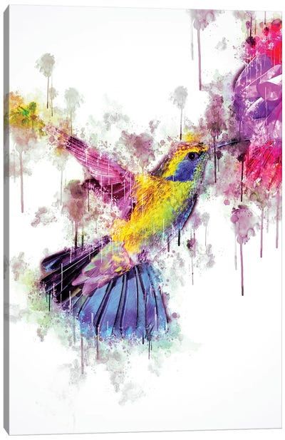 Humingbird Canvas Art Print - Cornel Vlad