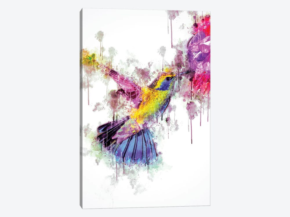 Humingbird by Cornel Vlad 1-piece Canvas Print