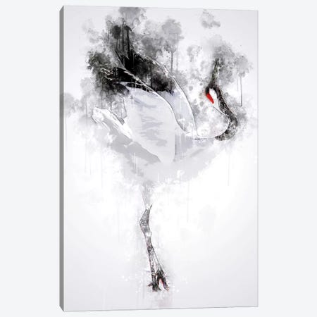 Japanese Red Crowned Crane Canvas Print #CVL139} by Cornel Vlad Canvas Print