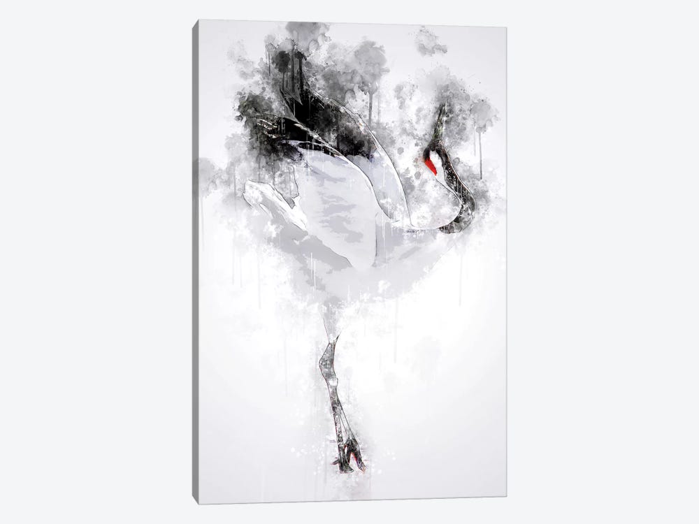 Japanese Red Crowned Crane by Cornel Vlad 1-piece Canvas Wall Art