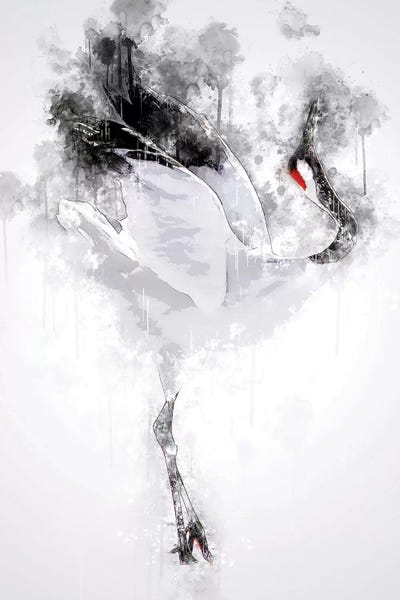 Japanese Red Crowned Crane