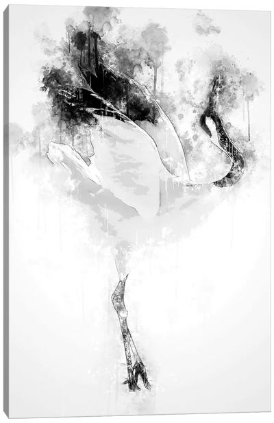 Japanese Red Crowned Crane In Black And White Canvas Art Print - Cornel Vlad