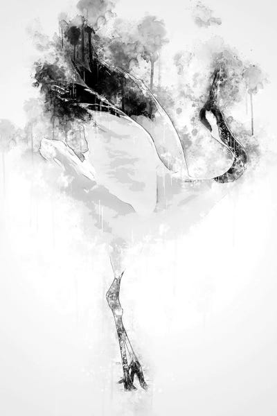 Japanese Red Crowned Crane In Black And White