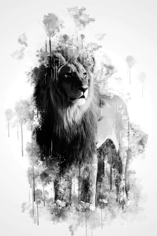 Lion In Black And White