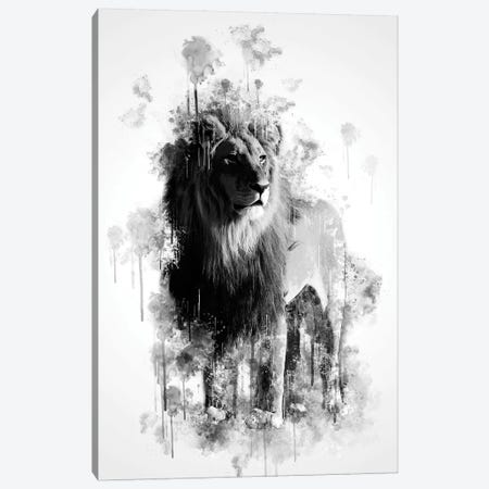 Lion In Black And White Canvas Print #CVL142} by Cornel Vlad Canvas Art