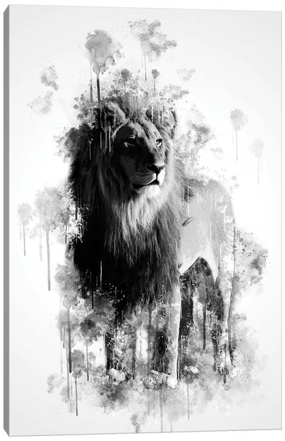 Lion In Black And White Canvas Art Print - Cornel Vlad