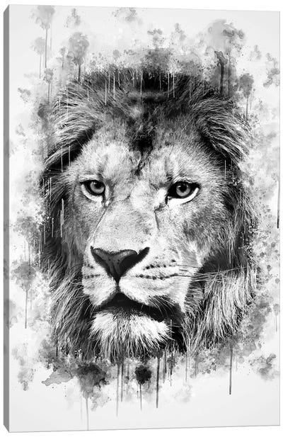 Lion Head Canvas Art Print - Cornel Vlad